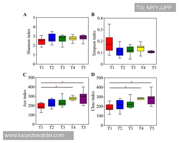 西安排球队在钻石联赛中的个人能力与团队配合分析